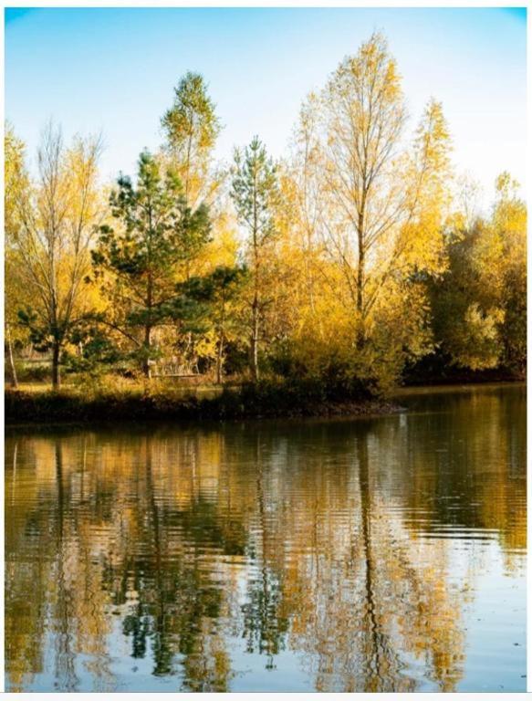 Les Chatelliers Bouzy-la-Foret Esterno foto